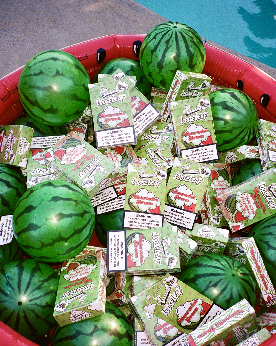 Watermelon Dream Loose Leaf package in a red watermelon pool.
